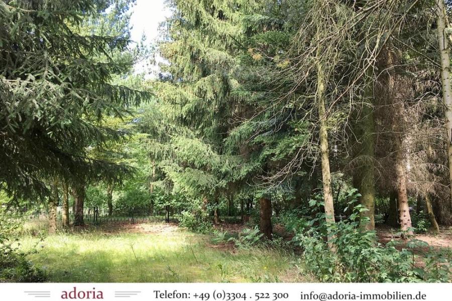 Achtung Naturliebhaber: Großes Grundstück für 1-4 Häuser - toller Baumbewuchs