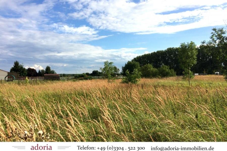 Großes Grundstück für Ihr Haus mit Gartenland - Wohnen im Berliner Umland